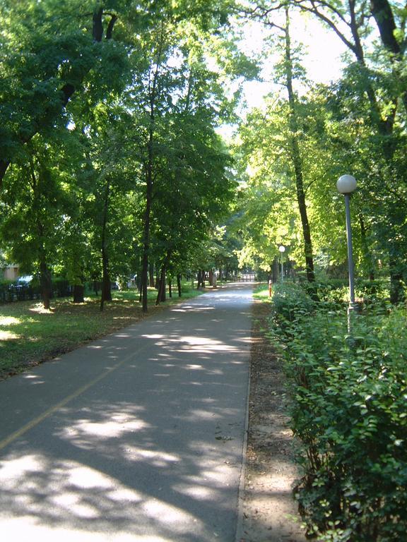 Park Vendeghaz Hotel Kecskemét Eksteriør billede